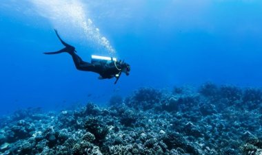EU to Utilize Advanced Underwater Technology for Ocean Study and Conservation