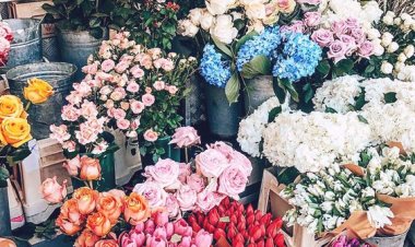 What is the role of Ask4Brand in bringing a new era of floral elegance to the enchanting world of Delhi Flower Mandi?