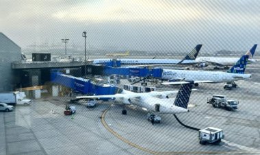 Travel Agents Gain Control over Flight Carbon Emissions through Google-Sabre Partnership