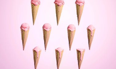 Investment Cadence in H1 2023 Explored: Insights from 15 Investors