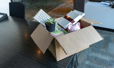 Tech Layoffs Transforming in Fascinating Manner