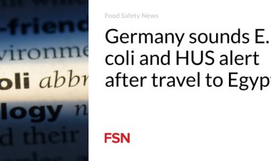 Germany Raises E. Coli and HUS Alert Following Visit to Egypt