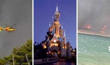 "Travel Disrupted and Disney's Last Line Damaged Amid Smoke Warning"