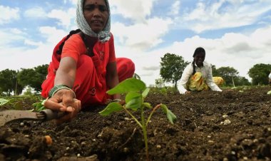 Rural Poverty Decreases, Yet Lifestyle Challenges Arise