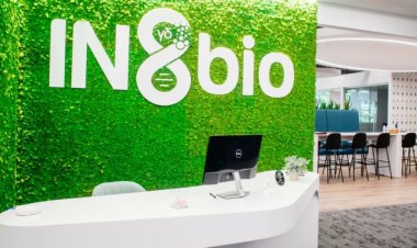 Encountering Three Start-Ups Creating Significant Impact in the Business Realm