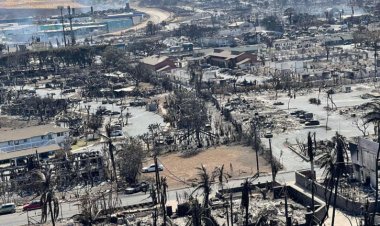 Hawaii Governor Reveals Fire Tornados with '1,000-Degree' Intensity Swept Through Maui Without Sirens or Alarms