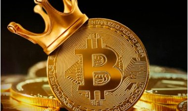 Bitcoin Halving: Potentially Transforming the Cryptocurrency into a Scarcer Asset Than Gold.