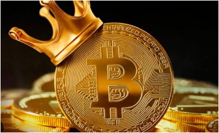 Bitcoin Halving: Potentially Transforming the Cryptocurrency into a Scarcer Asset Than Gold.