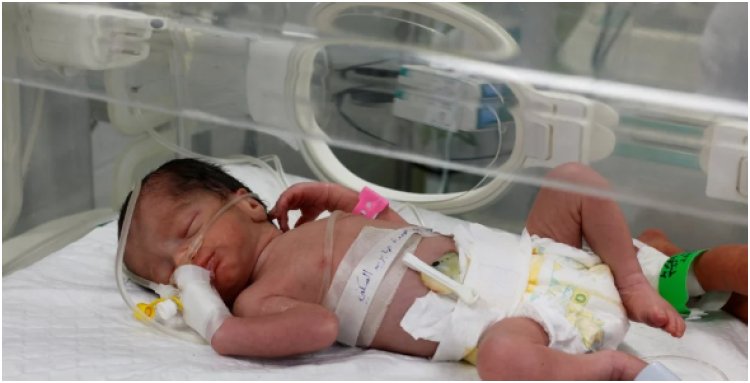 Miracle in Gaza: Baby Delivered Alive from Dying Mother's Womb