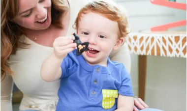 Parenting Journey: Essential Facts About Toddlerhood Every Parent Should Embrace.