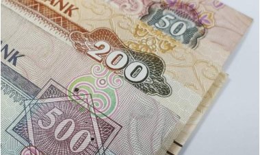 Robust Economic Growth Expected to Boost Insurers' Underwriting Profitability