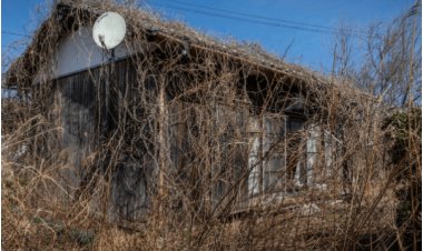 Japan Housing Mystery: Report Sheds Light on 90 Lakh Vacant Homes