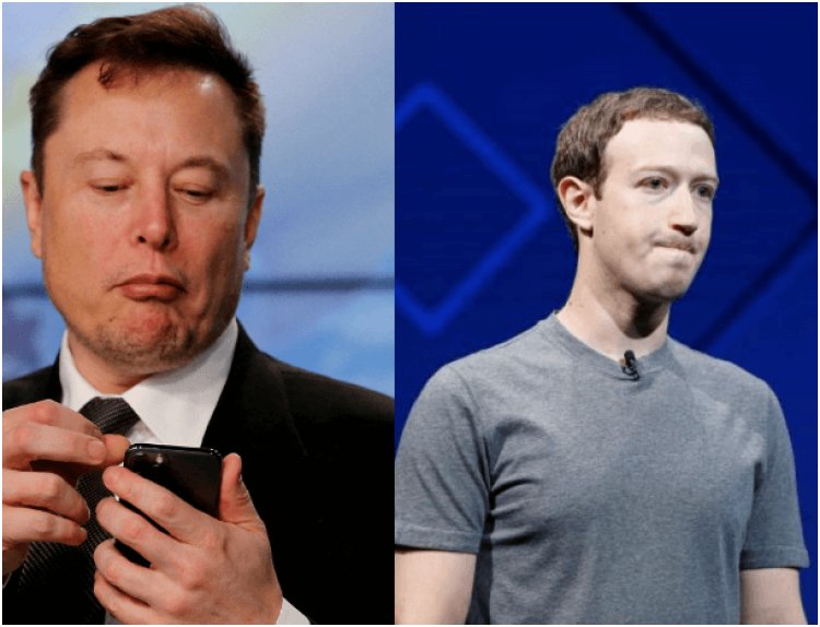 Meta Controversy: Elon Musk Accuses Mark Zuckerberg's Company of 'Super Greed