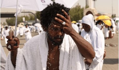 Hajj Tragedy: Over 550 Pilgrims Perish in Scorching Heat, Majority Egyptians