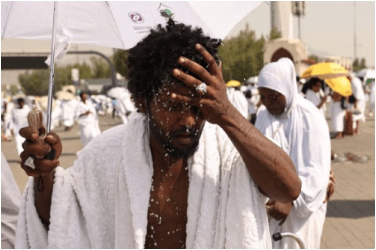 Hajj Tragedy: Over 550 Pilgrims Perish in Scorching Heat, Majority Egyptians