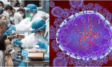 HMPV Outbreak in China: A Dangerous New Threat or Just Another Covid-19 Like Virus?