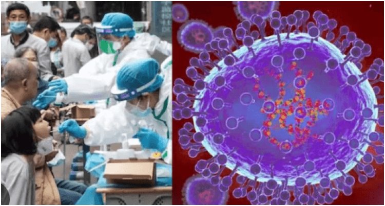 HMPV Outbreak in China: A Dangerous New Threat or Just Another Covid-19 Like Virus?